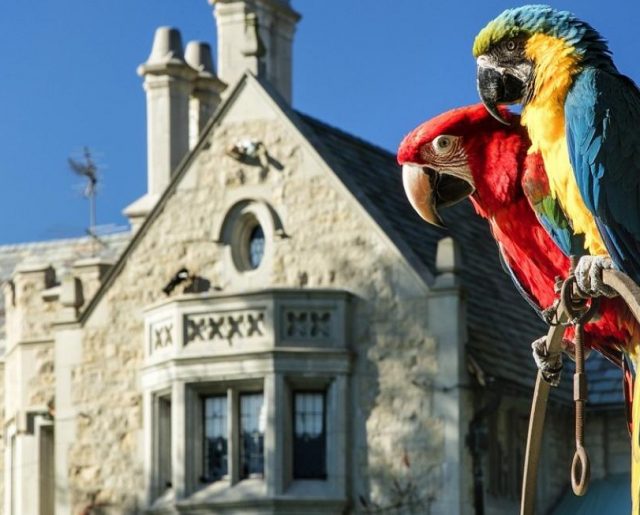 pic Playboy Mansion Price For Sale playboy mansion sale is final top